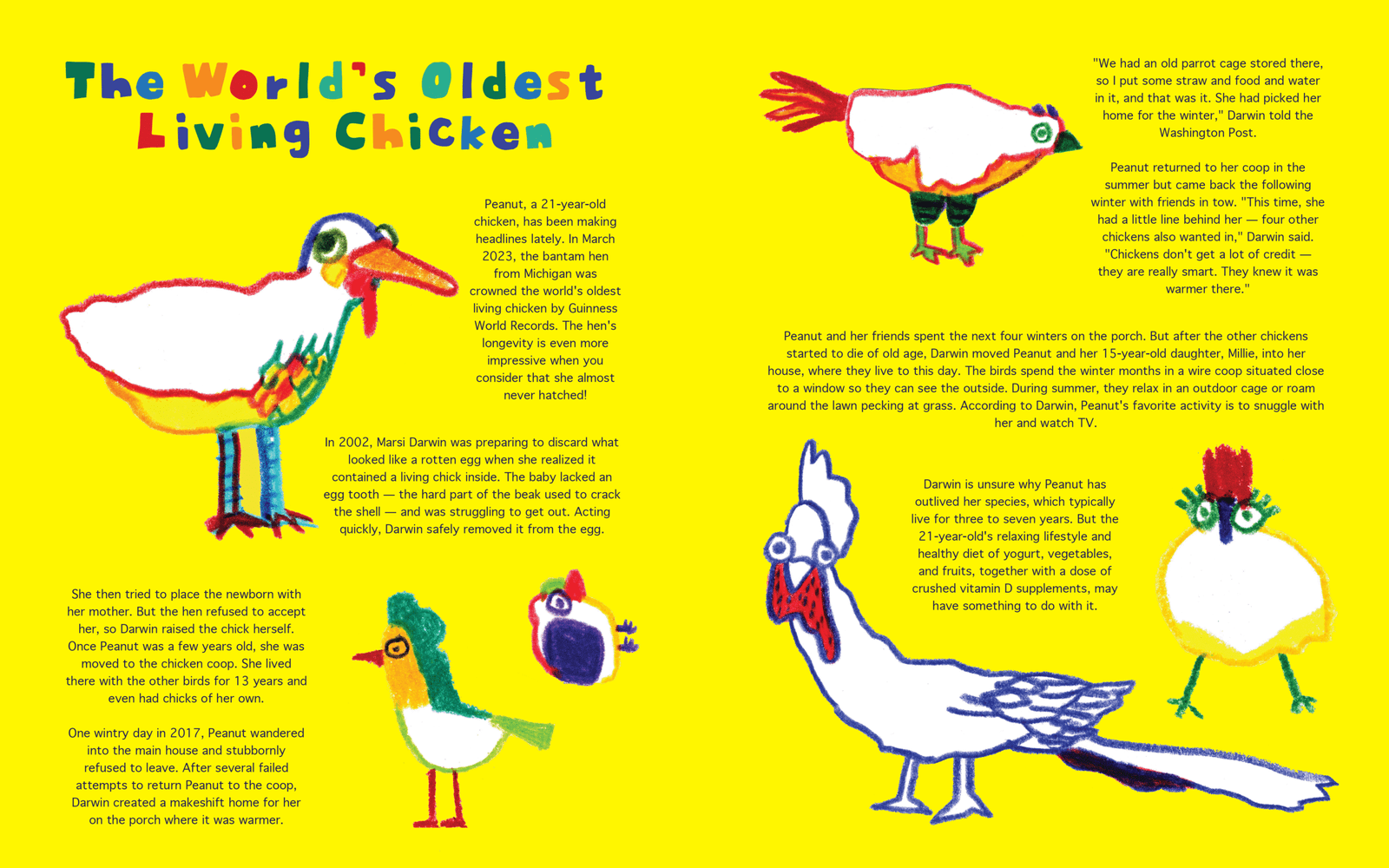 The World's Oldest Living Chicken Magazine Spread